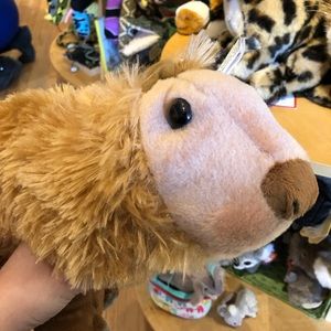 Meet your Posher, Grace